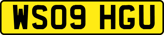 WS09HGU