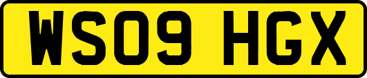 WS09HGX