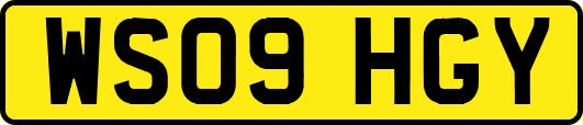 WS09HGY