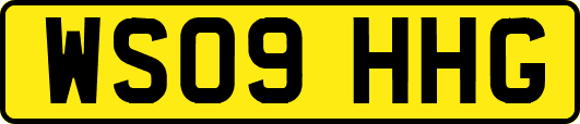 WS09HHG