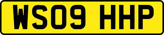 WS09HHP