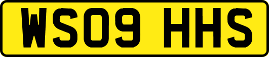 WS09HHS