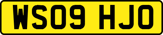 WS09HJO
