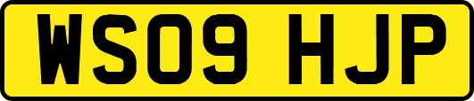 WS09HJP