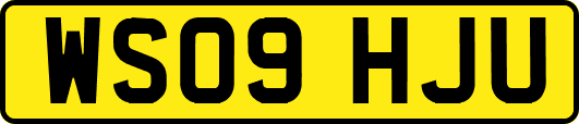 WS09HJU