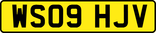 WS09HJV