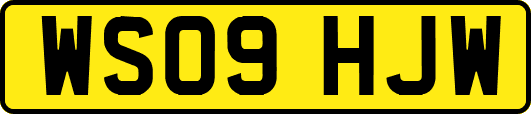 WS09HJW