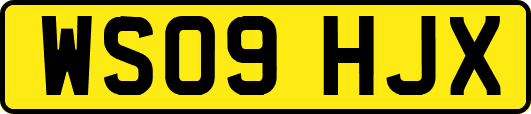 WS09HJX