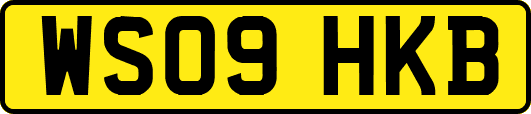 WS09HKB