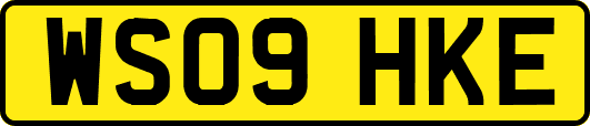 WS09HKE