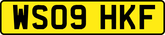 WS09HKF