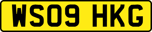 WS09HKG