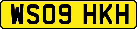 WS09HKH