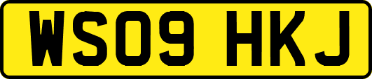 WS09HKJ