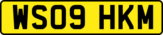 WS09HKM