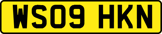 WS09HKN