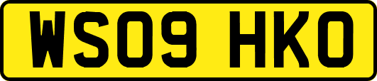 WS09HKO