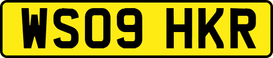 WS09HKR