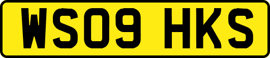 WS09HKS