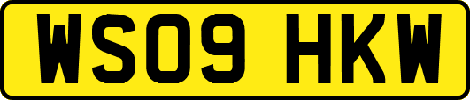 WS09HKW
