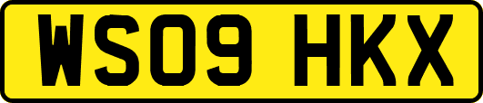 WS09HKX