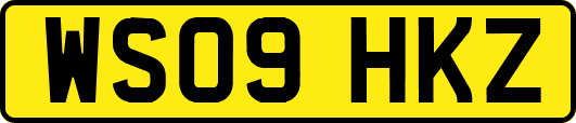 WS09HKZ