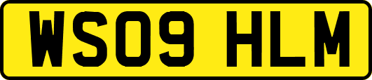 WS09HLM