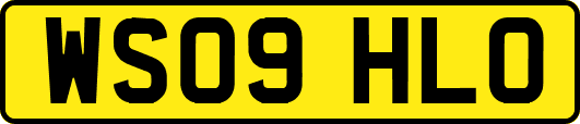 WS09HLO