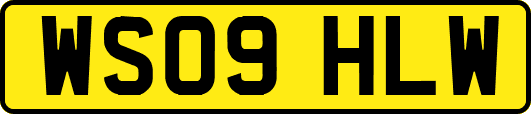 WS09HLW