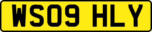 WS09HLY