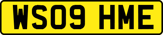 WS09HME