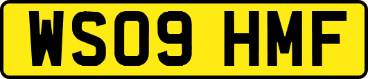 WS09HMF
