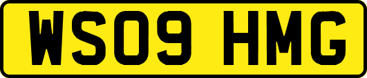 WS09HMG