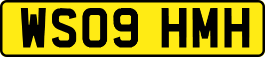 WS09HMH