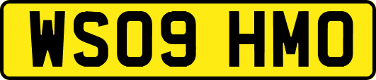 WS09HMO