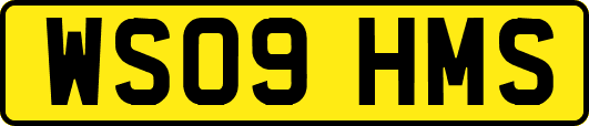 WS09HMS