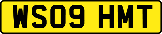 WS09HMT