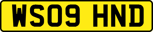WS09HND
