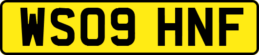 WS09HNF