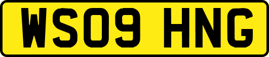 WS09HNG