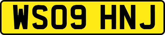 WS09HNJ