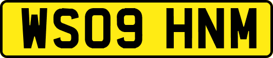 WS09HNM