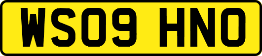 WS09HNO