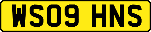 WS09HNS