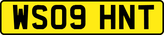 WS09HNT