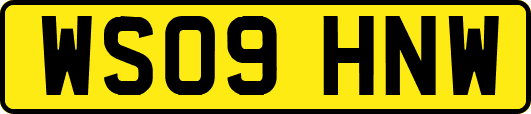 WS09HNW