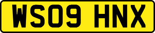 WS09HNX