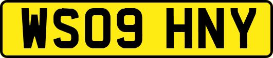 WS09HNY