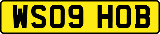 WS09HOB