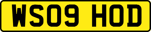 WS09HOD